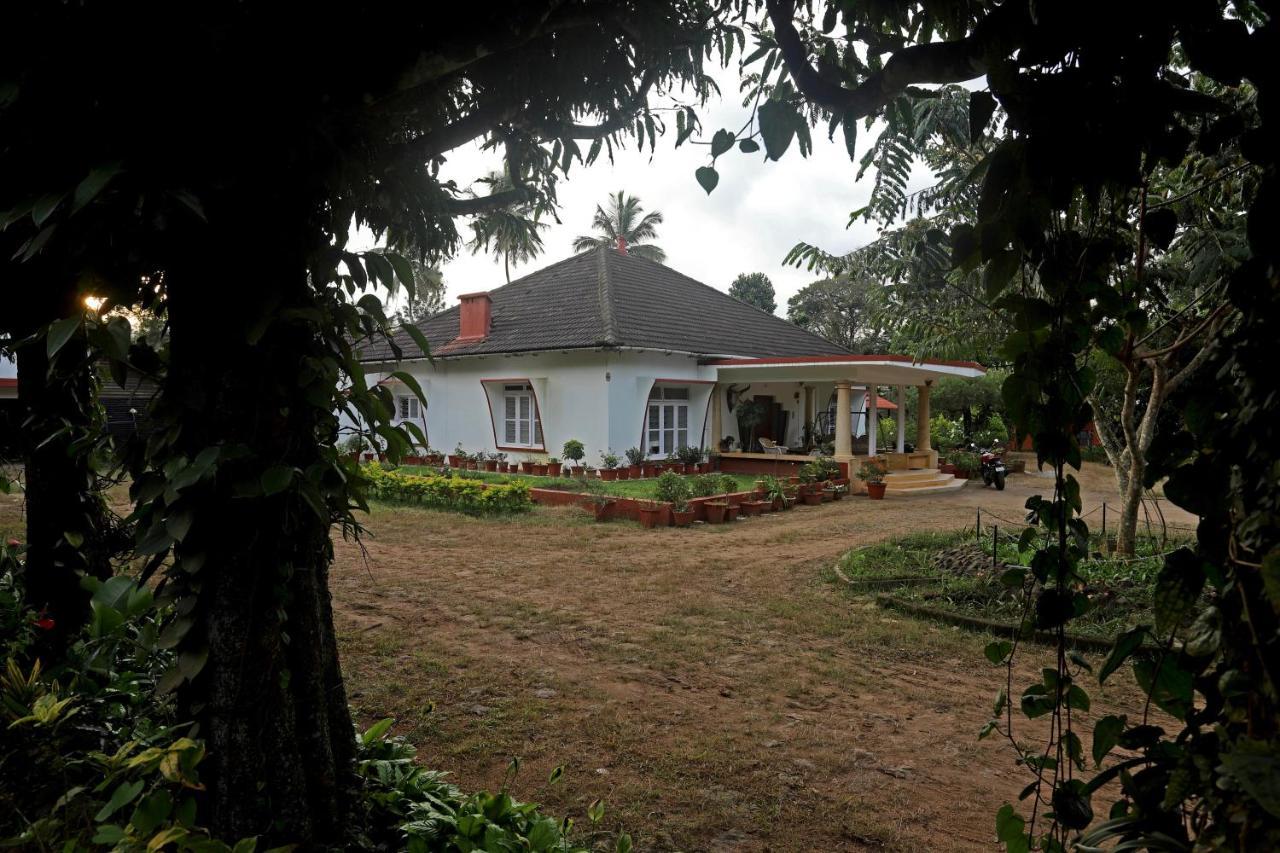 Devi Villa - Plantation Retreat And Forest Getaway Kutta Luaran gambar